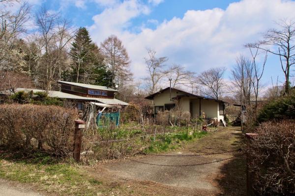 家庭菜園でエコ生活