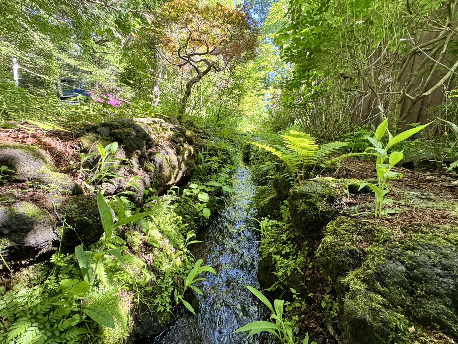 小川が流れる敷地
